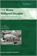 The Brain Without Oxygen