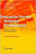Enterprise Service Oriented Architectures