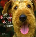 What Happy Dogs Know