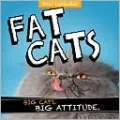 2011 Fat Cats Wall Calendar