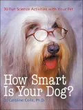 How Smart Is Your Dog? 30 Fun Science Activities With Your Pet
