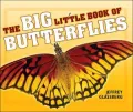 Big Little Book of Butterflies