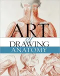 Art of Drawing Anatomy