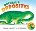 Dinosaur Opposites