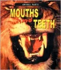 Mouths and Teeth