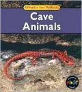 Cave Animals