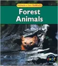 Forest Animals
