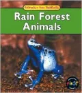 Rain Forest Animals