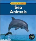 Sea Animals