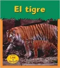 El Tigre / Tiger
