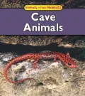 Cave Animals
