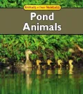 Pond Animals