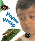 Paper Wasp