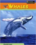 Whales