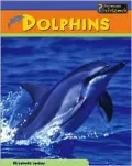 Dolphins