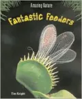 Fantastic Feeders
