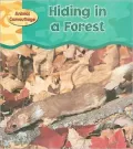 Hiding in a Forest
