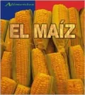 El Maiz/Corn