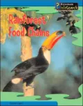 Rainforest Food Chains