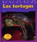 Las Tortugas / Turtles