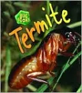 Termite