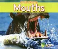 Mouths