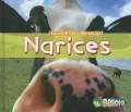 Narices/ Noses
