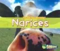 Narices = Noses