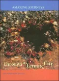 Through a Termite City
