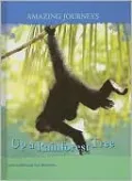 Up a Rainforest Tree