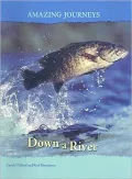 Down a River