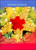 Inside a Coral Reef