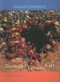 Through a Termite City