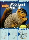 Woodland Animals