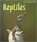 Reptiles