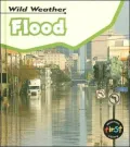Flood