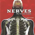 Nerves: The Nervous System