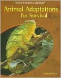 Animal Adaptations for Survival