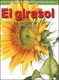 El Girasol: Por Dentro y Por Fuera