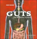 Guts: The Digestive System