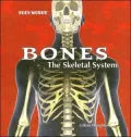 Bones: The Skeletal System