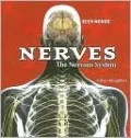 Nerves: The Nervous System
