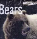Bears