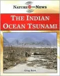 The Indian Ocean Tsunami