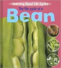 The Life Cycle of a Bean