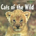 Cats of the Wild