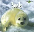 Seals (Baby Animals )