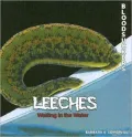 Leeches: Waiting in the Water