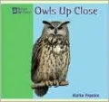 Owls up Close