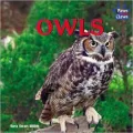 Owls